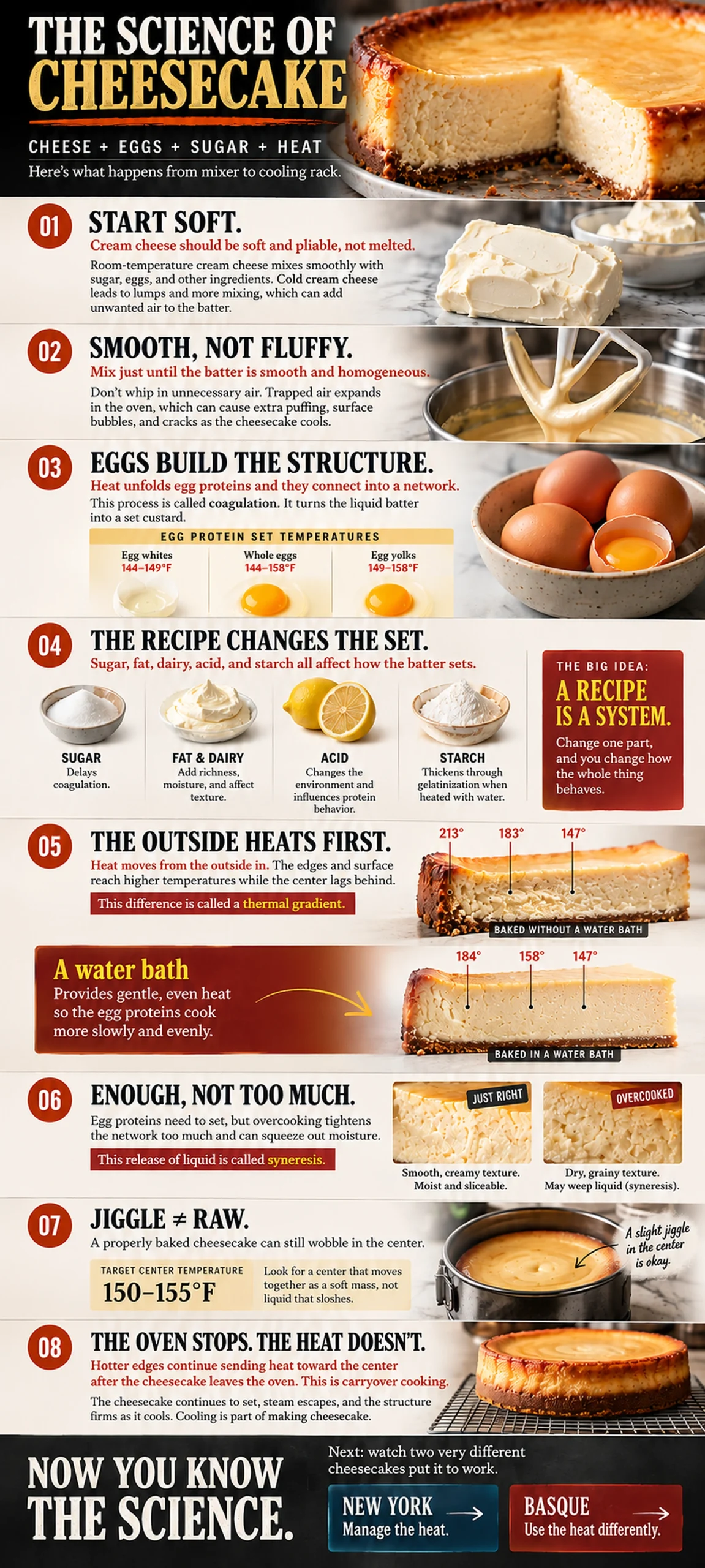 The Science of Cheesecake infographic summarizing ingredient temperature, mixing, egg coagulation, thermal gradient, doneness, carryover cooking, and cooling